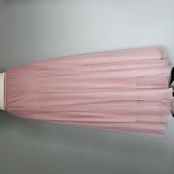 Chicwish Dresses & Skirts - CHICWISH Tulle Maxi Skirt | A-line | Gold Accent Waistline | Double Laye…